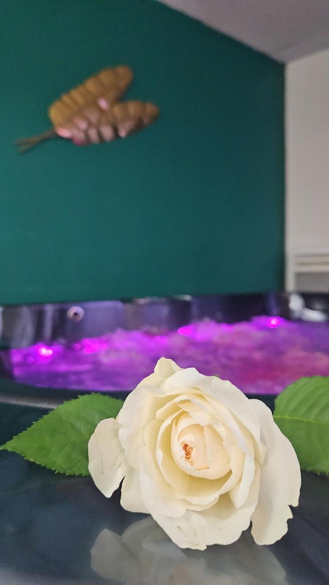 Suite Jacuzzi "Spa Privatif " Appartement Jacuzzi Toulouse Exterior foto